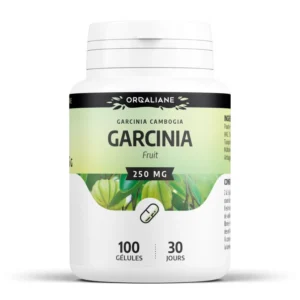GARCINIA CAMBOGIA EXTRAIT 250 MG gélules – Image 1