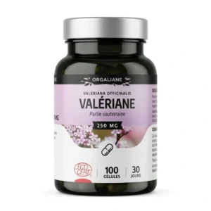 Valériane GPH Sommeil 100 gélules Bio 250 mg - Complément anti-stress pour la détente et le repos nocturne