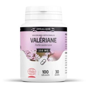 Valériane GPH Sommeil 100 gélules Bio 250 mg - Complément anti-stress pour la détente et le repos nocturne